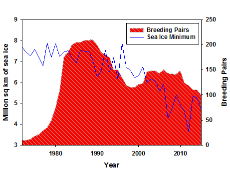 pairs and sea ice