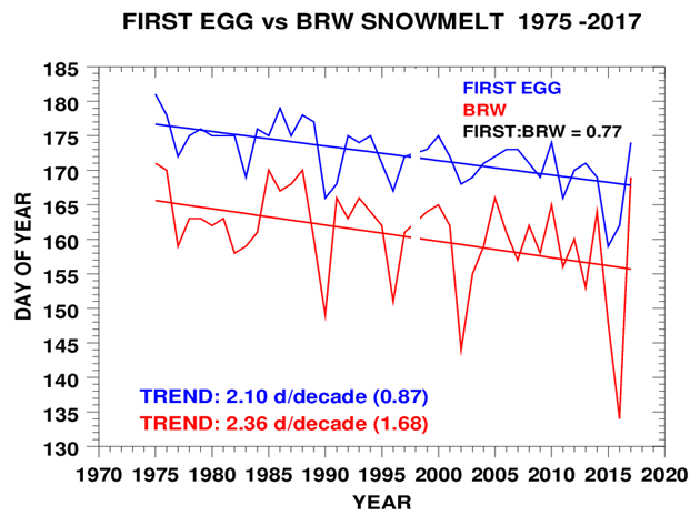 Trends and correlation between Barrow snowmelt and guillemot breeding phenology.