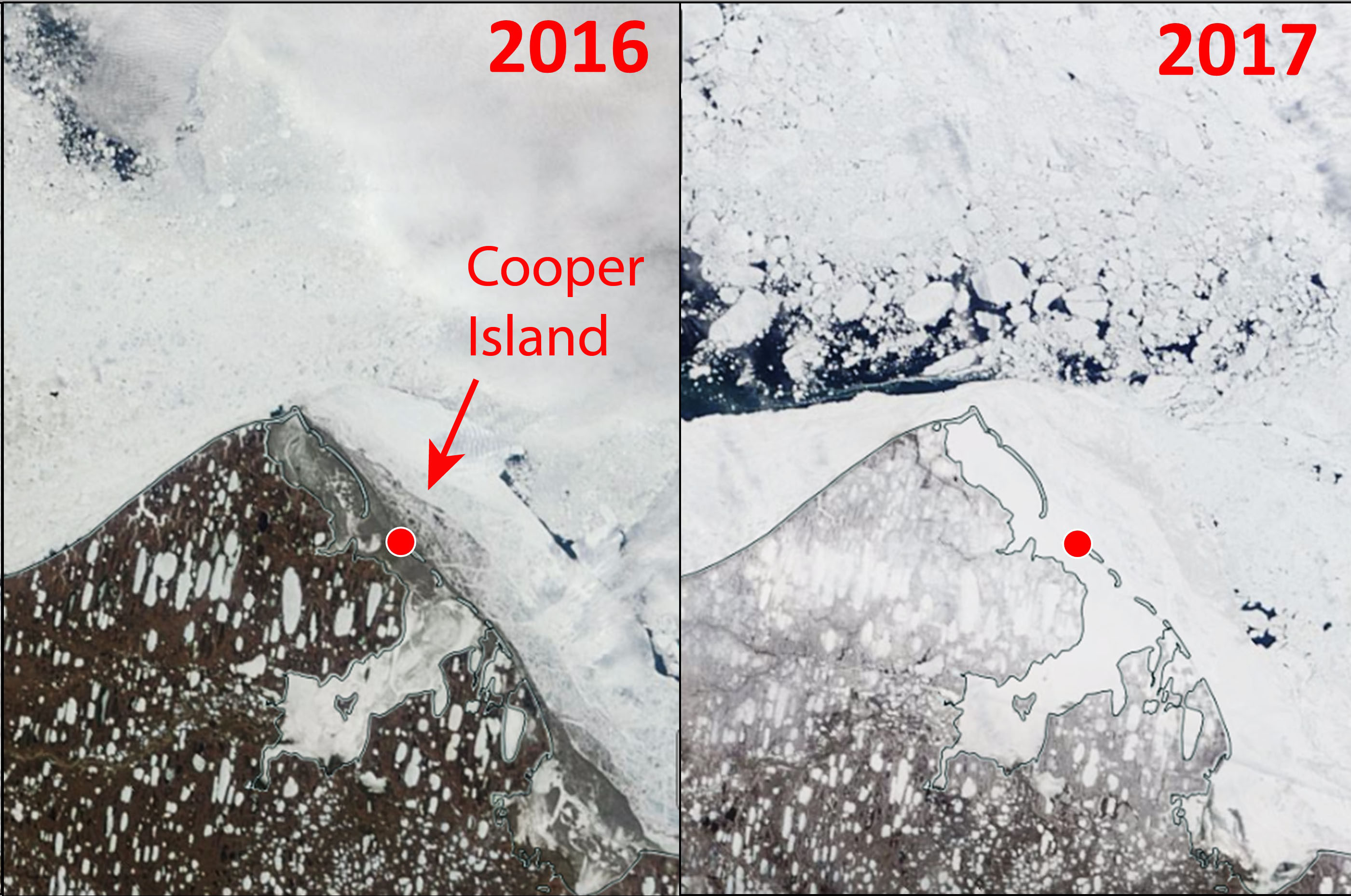 Satellite images of northernmost Alaska on June 11, 2016, and June 11, 2017.