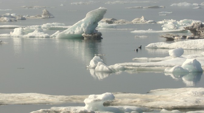 Sea Ice North of Cooper Island