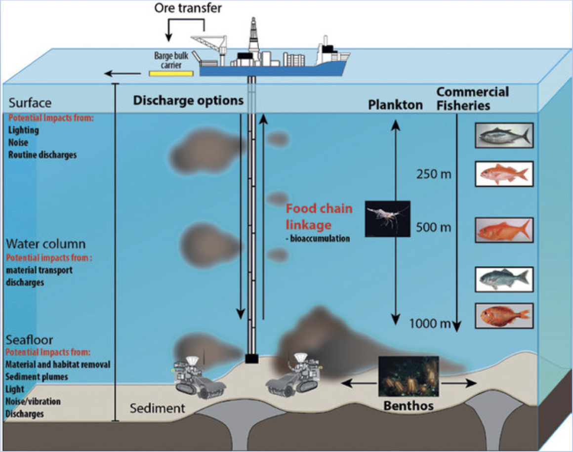 Impact of Deep Sea Mining