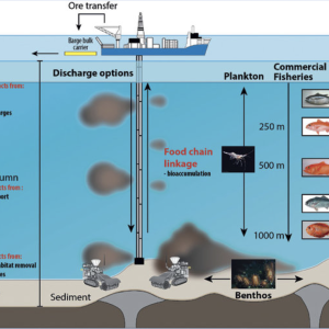 Impact of Deep Sea Mining